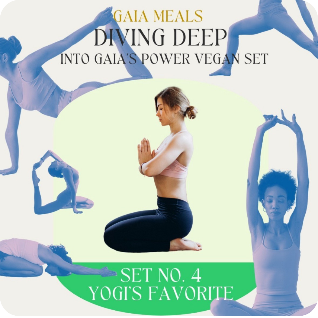 Set No.4 Yogi's Favorite
